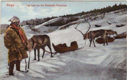 Lap med ren ved Karasjok, Finmarken. Enerett: Mittet Nr 24/1.